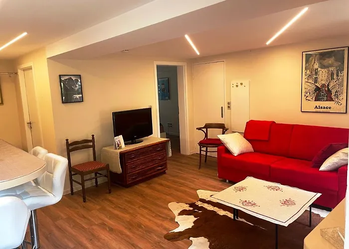 Prive Dans Meinau Residentiel * 斯特拉斯堡